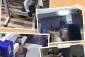 Lắp ráp máy may công nghiệp 1 kim đúng cách từ A đến Z