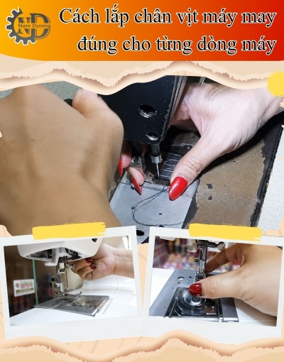Cách thay chân vịt máy may đúng và lỗi cần tránh