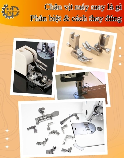 Chân vịt máy may là gì? Vì sao ảnh hưởng đến đường may